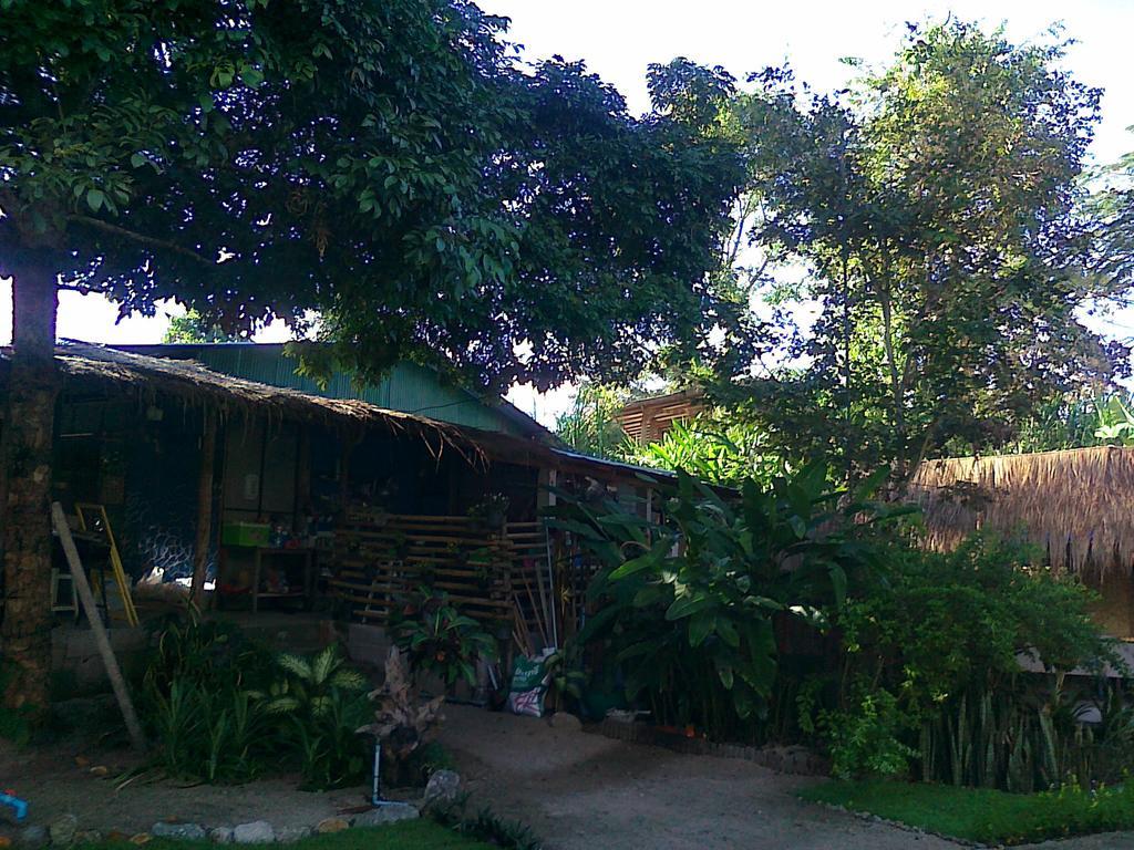 Pai Bamboo Hut Hotel Exterior photo